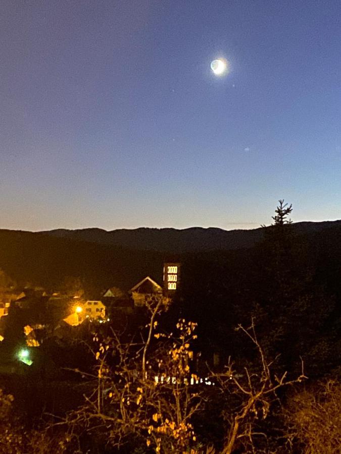 Le Moonloft Insolite Tiny-House Dans Les Arbres & 1 Seance De Sauna Pour 2 Avec Vue Panoramique Osenbach エクステリア 写真