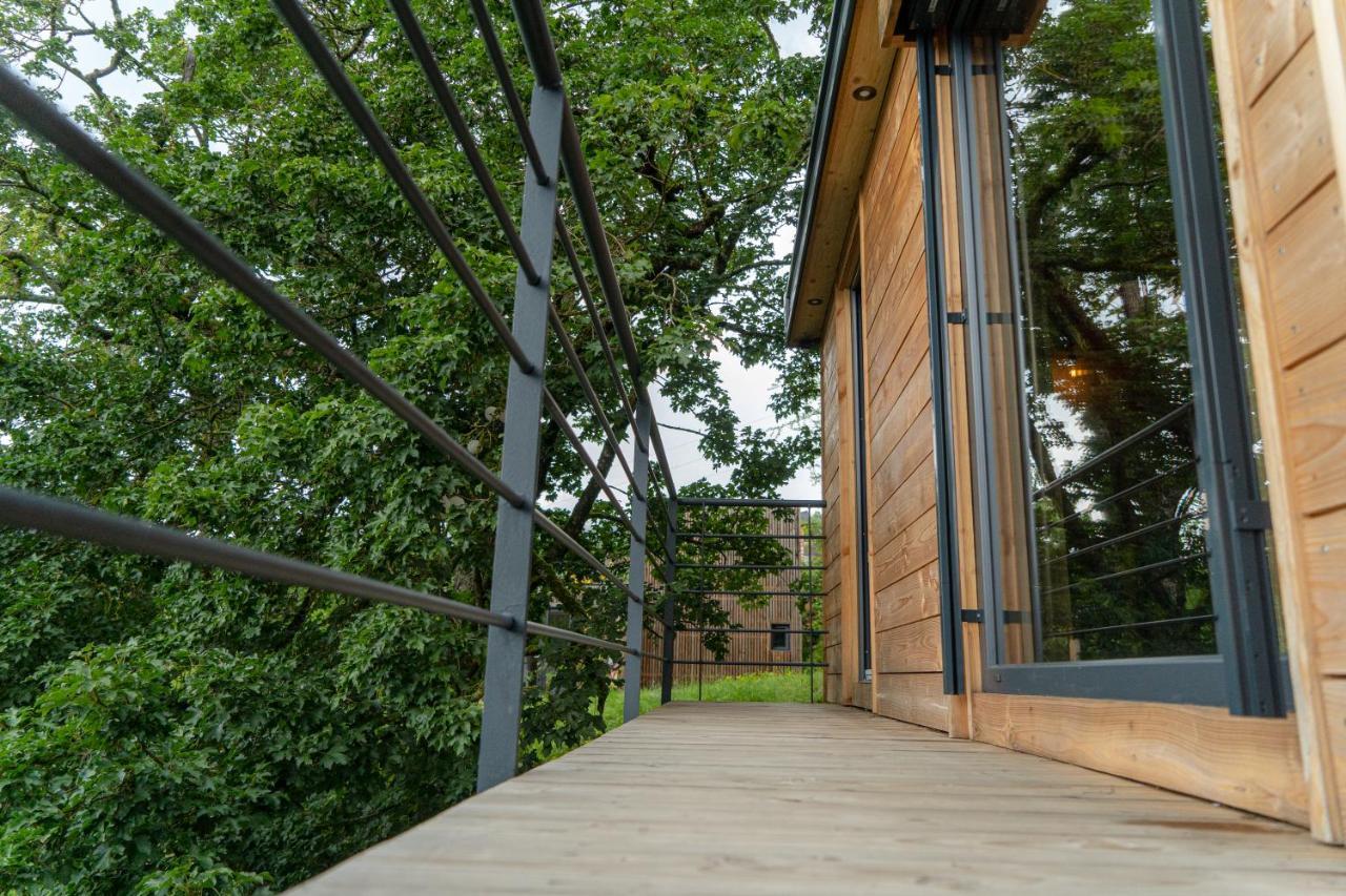 Le Moonloft Insolite Tiny-House Dans Les Arbres & 1 Seance De Sauna Pour 2 Avec Vue Panoramique Osenbach エクステリア 写真