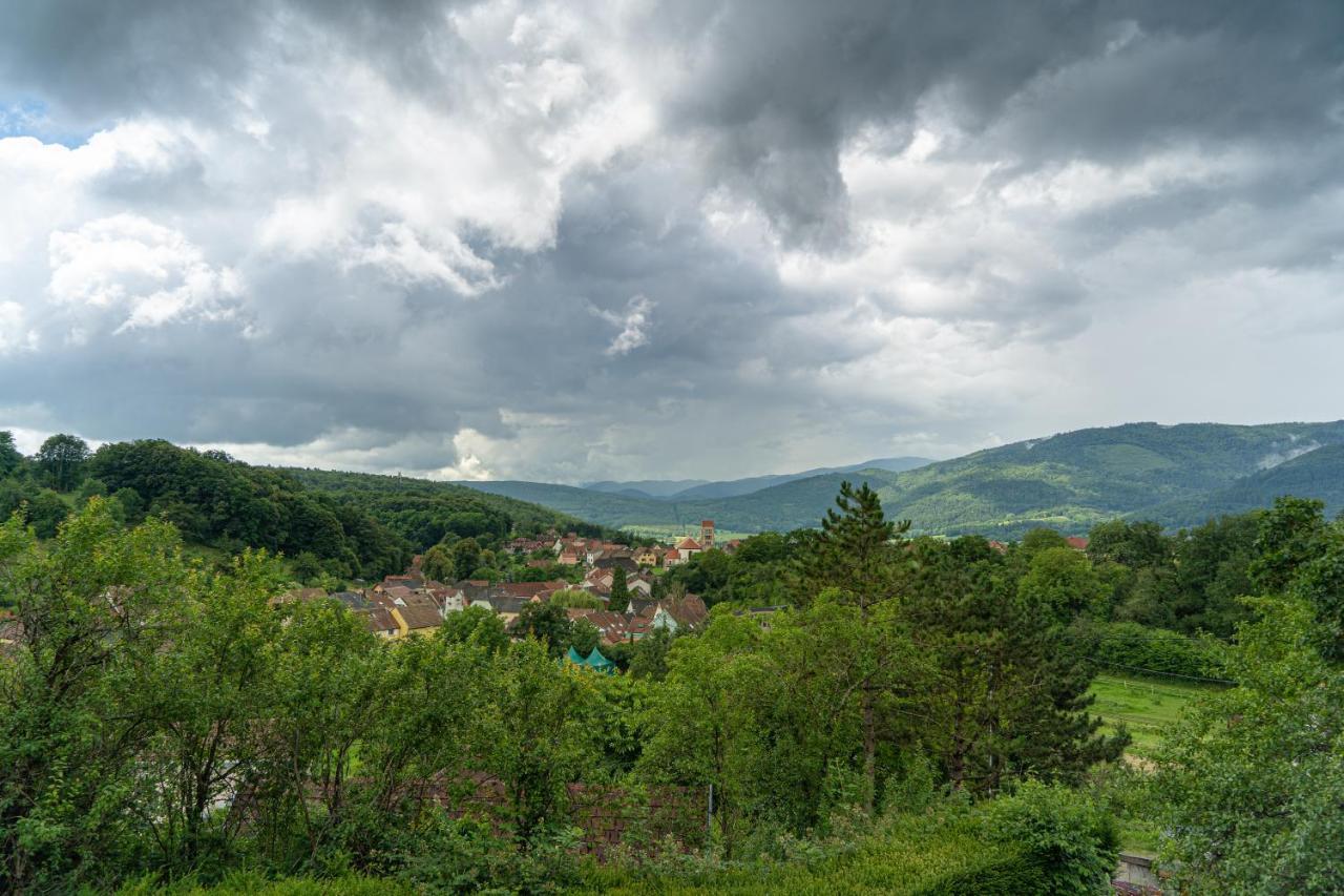 Le Moonloft Insolite Tiny-House Dans Les Arbres & 1 Seance De Sauna Pour 2 Avec Vue Panoramique Osenbach エクステリア 写真