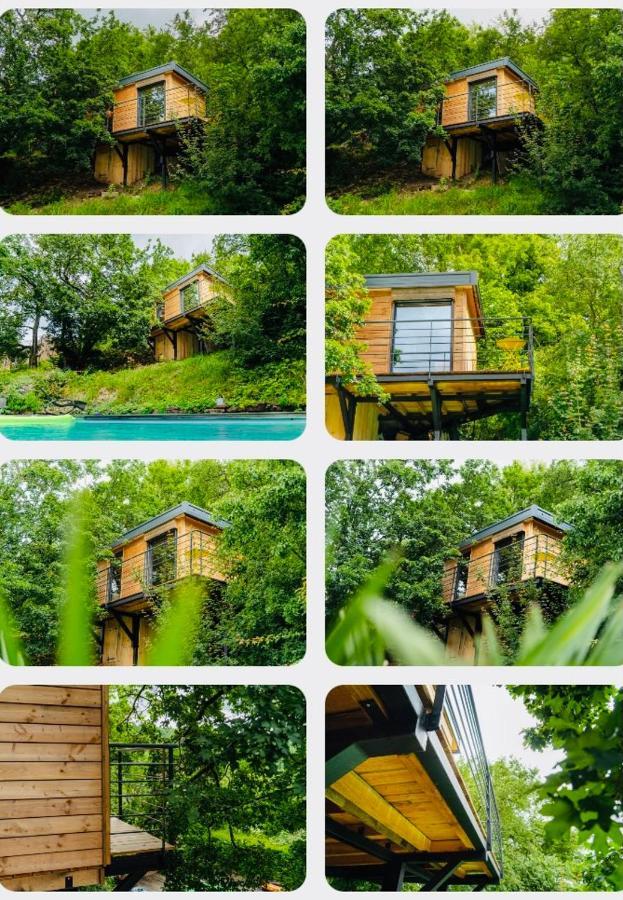 Le Moonloft Insolite Tiny-House Dans Les Arbres & 1 Seance De Sauna Pour 2 Avec Vue Panoramique Osenbach エクステリア 写真